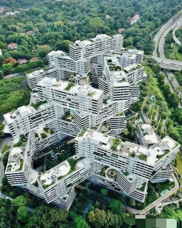 這20張照片告訴你，“獅城”新加坡的與眾不同