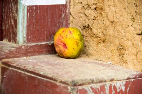 三面是山,一面是壁,秦嶺山窪窪裡的這棟老房子,太適合租來隱居 三面是山,一面是壁,秦嶺山窪窪裡的這棟老房子,太適合租來隱居