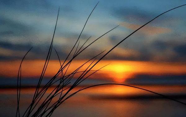 老彭 作者：汪開宏