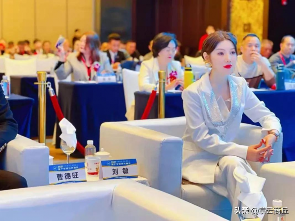 敏涵控股集團受邀參加“中國好公司”高峰論壇並摘得兩項殊榮 敏涵控股集團受邀參加“中國好公司”高峰論壇並摘得兩項殊榮