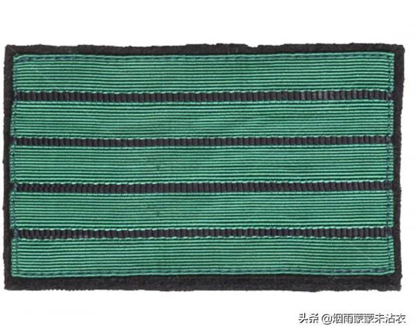 條條槓槓眼花繚亂,看看二戰德國黨衛軍迷彩軍銜是啥樣 條條槓槓眼花繚亂,看看二戰德國黨衛軍迷彩軍銜是啥樣