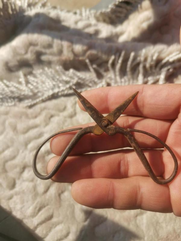 剛收到小剪刀一把✂️