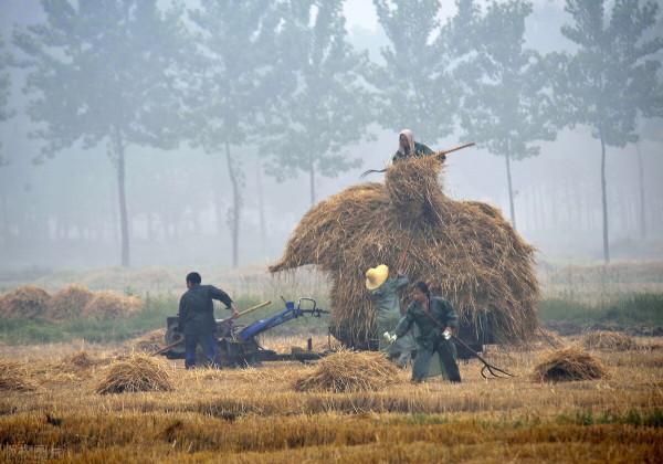 微小說：祖孫情