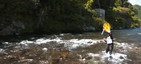 「漁具資訊」「SHIMANO」LIMITED PRO TF