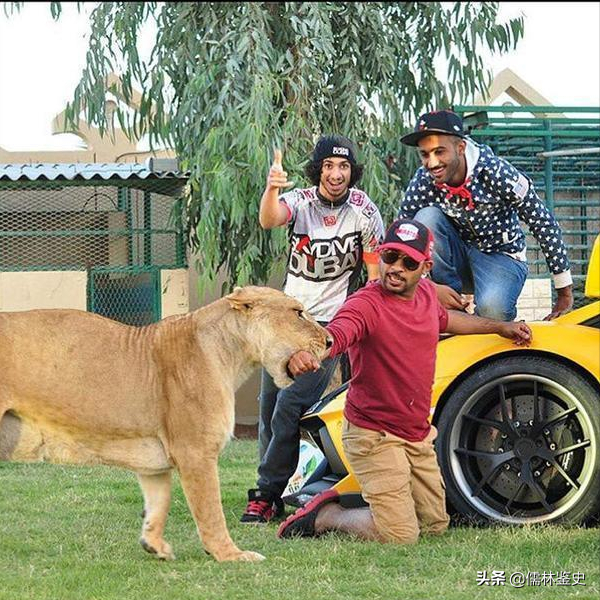 這才是卡達，誰是中東商業圈最牛的人？如此樸實無華