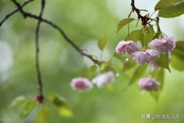 在逆境中才認識了涼薄的人心，自己選的路，跪著也得走完