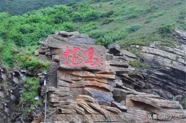 大連蛇島瘋狂“內卷”,一平方公里2萬多條蛇,島上的蛇越來越毒 大連蛇島瘋狂“內卷”,一平方公里2萬多條蛇,島上的蛇越來越毒