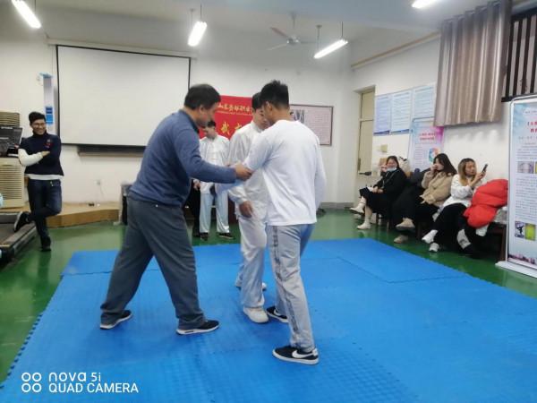 九式太極拳套路及實用技法