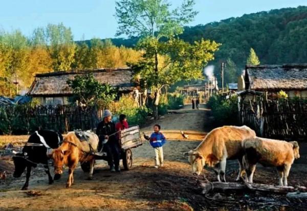 什麼木材適合做扁擔？老木匠用3句話，給出3個不同的答案