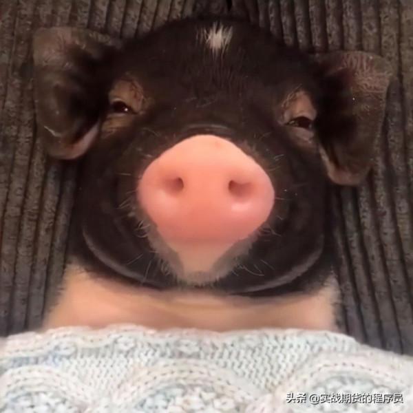 2021.12.22#螺紋鋼期貨RB2205#夜盤盤後