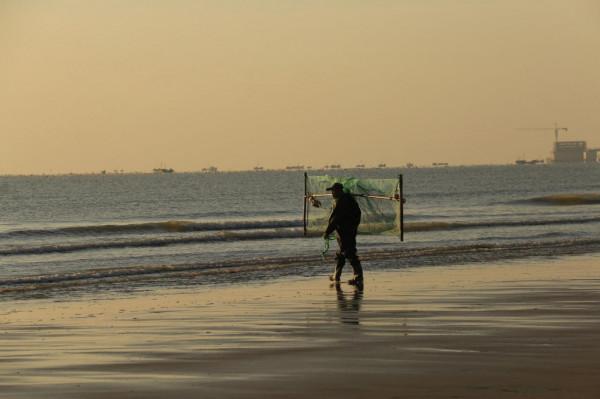 銀杏道的盡頭是大海 銀杏道的盡頭是大海