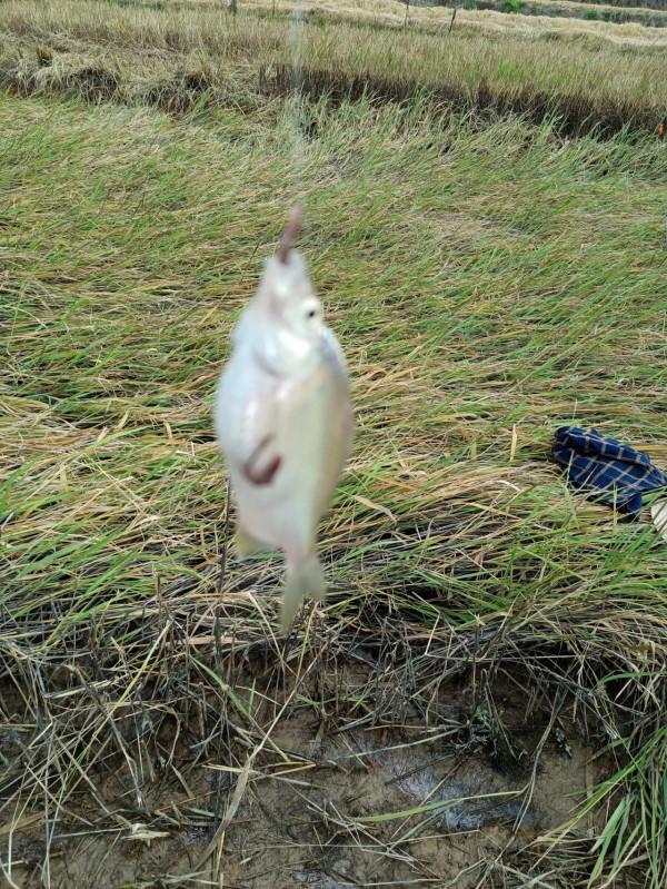 跑船海釣,休假在家野釣,釣魚任何時候都是船員的一種樂趣 跑船海釣,休假在家野釣,釣魚任何時候都是船員的一種樂趣