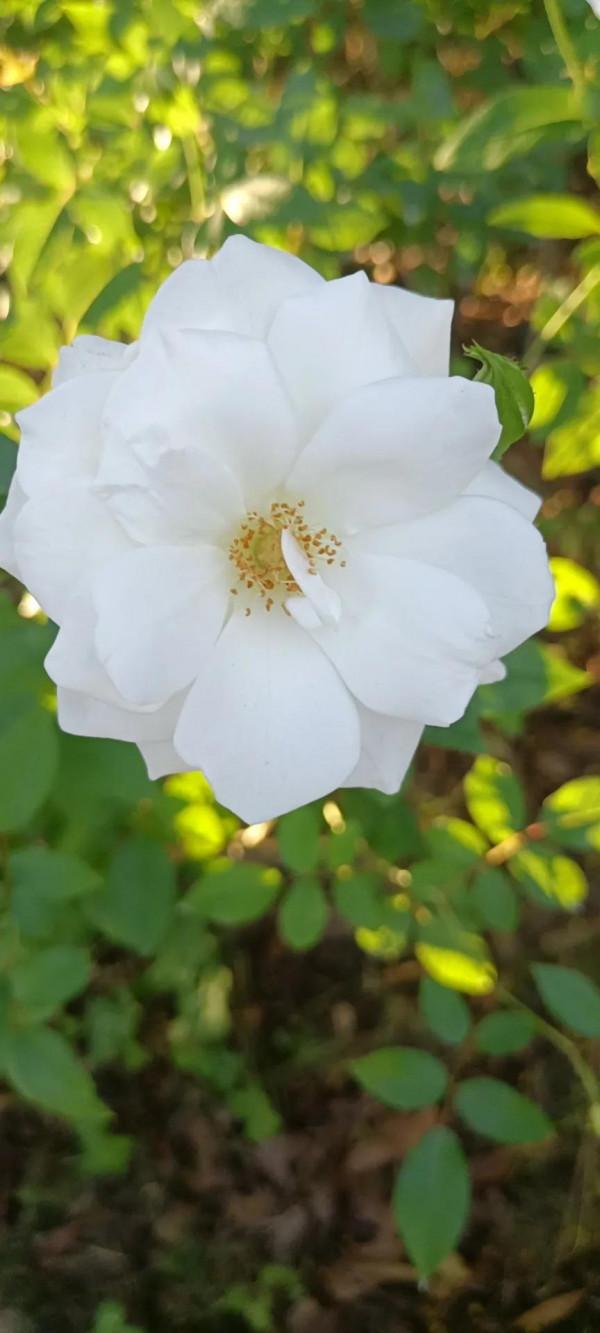 看教育不能用肉眼而是用心眼