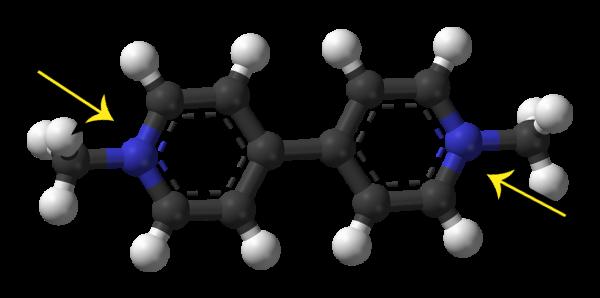 13歲少女喝下了百草枯後,她體內遭受的生化破壞機制會讓人絕望 13歲少女喝下了百草枯後,她體內遭受的生化破壞機制會讓人絕望