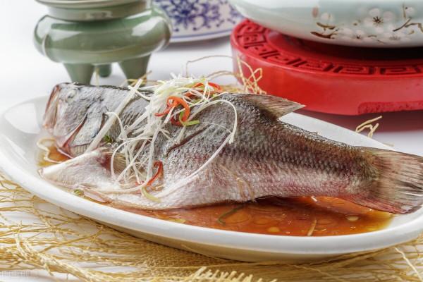 鱸魚怎麼釣？看完這個文章你就知道了