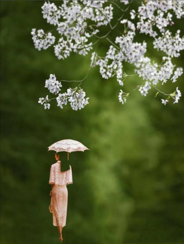 賞讀：秋雨如詩，醉了誰？