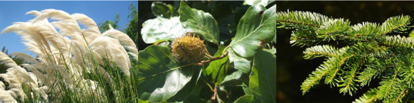 如何低成本提升穿衣品味？先學會買衣服前看成分，選對好面料