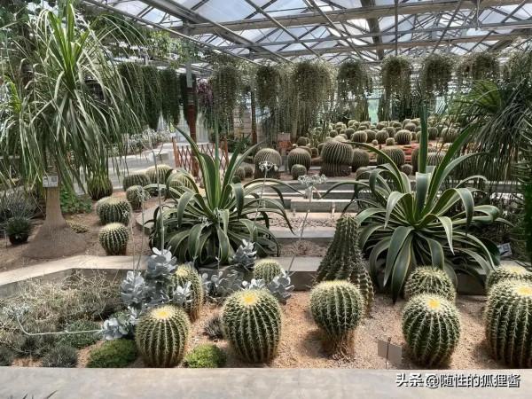 京城遛娃好去處，價格、硬體、軟體彙總，冬季遛娃好輕鬆