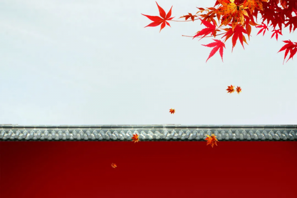 20句深情詩詞:願時光不老,願你我無恙 20句深情詩詞:願時光不老,願你我無恙