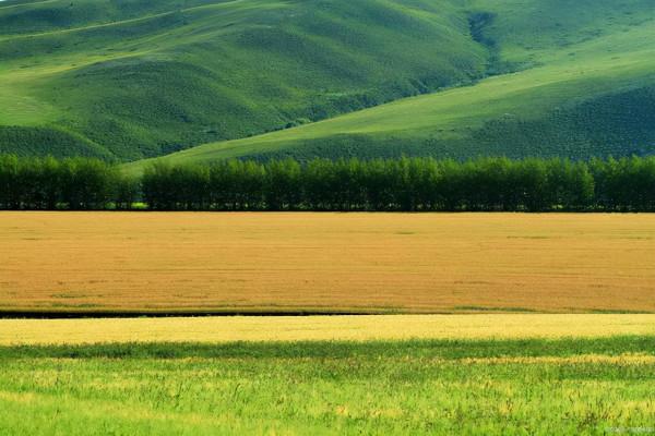 日本水稻種植新方式,實行工廠化流水線生產,農業的強大讓人佩服 日本水稻種植新方式,實行工廠化流水線生產,農業的強大讓人佩服