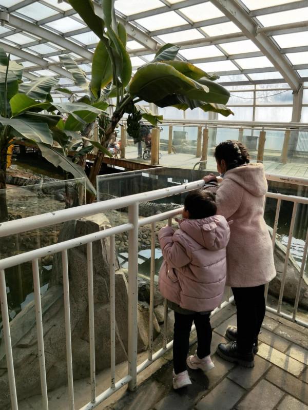 國際莊動物園轉一轉