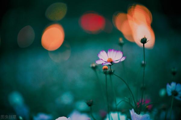 什麼時候是真正的心寒？