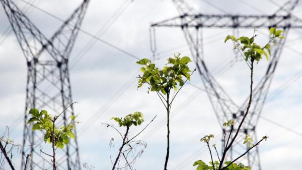 綠電，科技巨頭買買買的下一站？