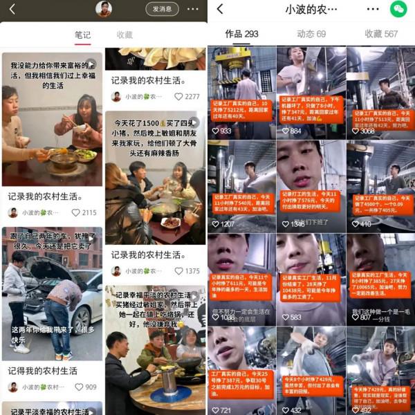 不止“張同學”,網際網路到處是“農村”網紅 不止“張同學”,網際網路到處是“農村”網紅