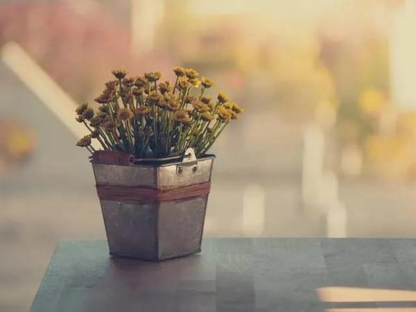 人活著不能太精明