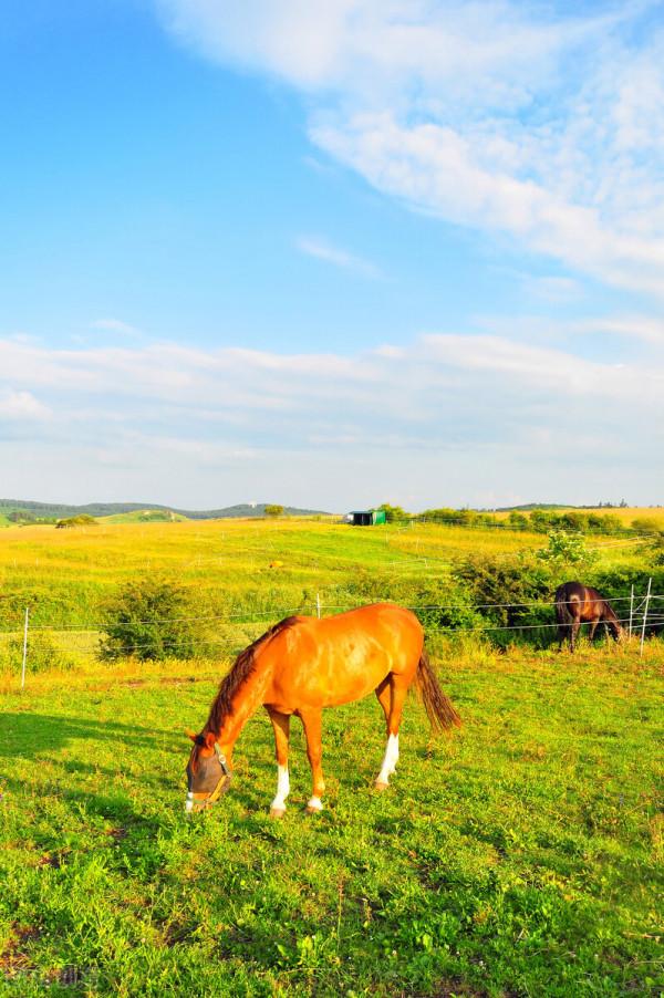 美景的初戀 美景的初戀