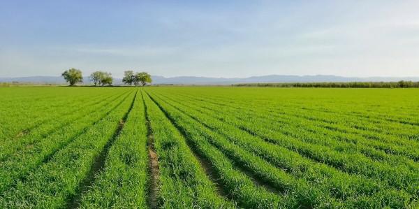 支農寶——農產品網際網路交易 支農寶——農產品網際網路交易