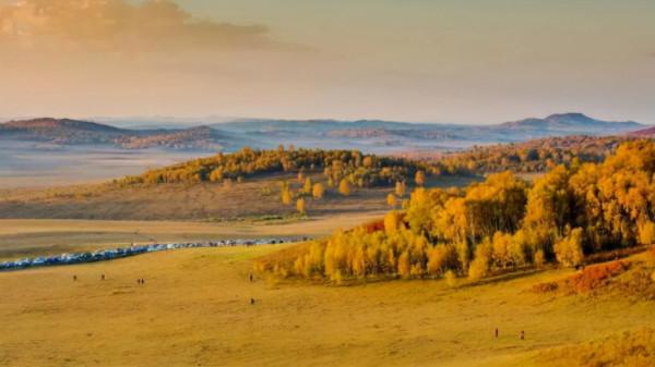 天蒼蒼 野茫茫 塞上草原秋色正好
