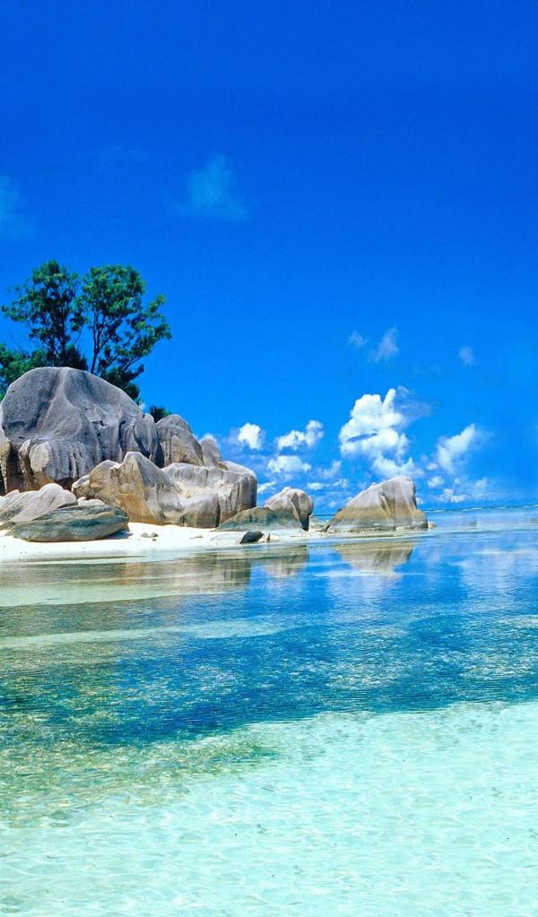 打卡第七十五天 清水辟穀減肥第六十八天