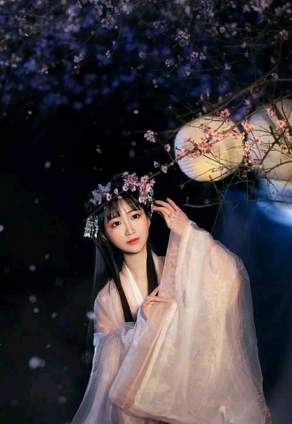 中秋月下百花妍 中秋月下百花妍