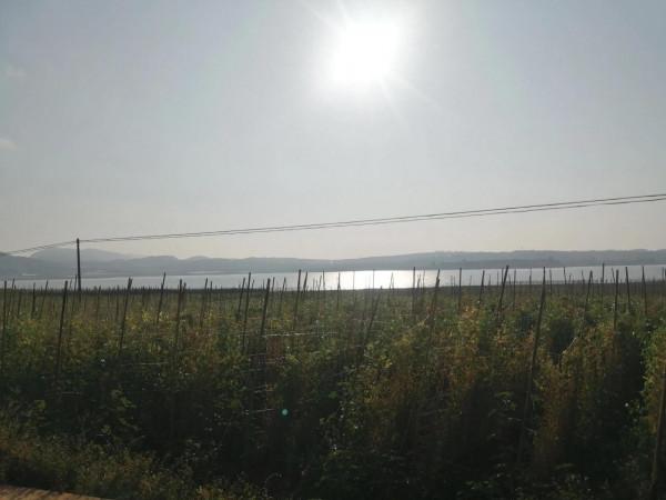 旅居彌勒，平平淡淡才是真