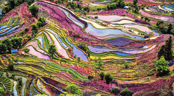 走進喀斯特密境