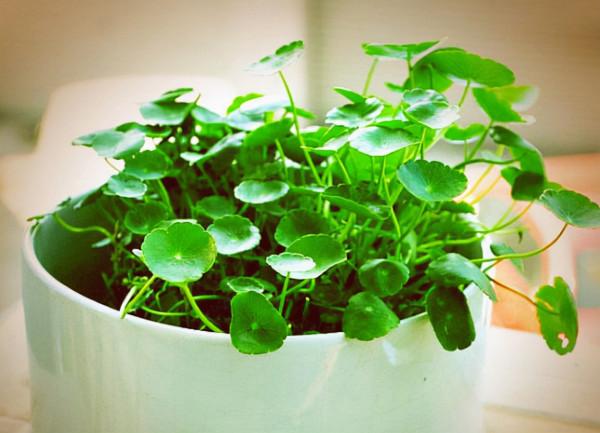 人過五十，越是收入低，越要懂得存錢