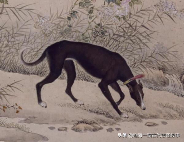 古代志怪故事:犬數則 古代志怪故事:犬數則