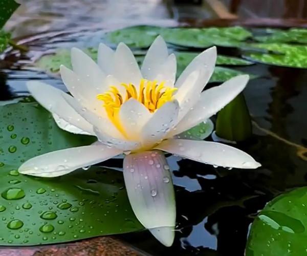 女孩子怎樣才能不辛苦 女孩子怎樣才能不辛苦