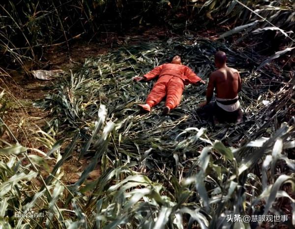 《透明的紅蘿蔔》精彩內容欣賞 《透明的紅蘿蔔》精彩內容欣賞