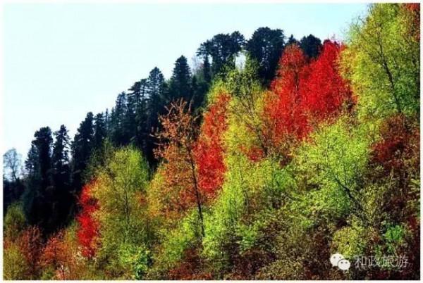 秋韻•和政松鳴巖 一幅大寫意的水彩畫