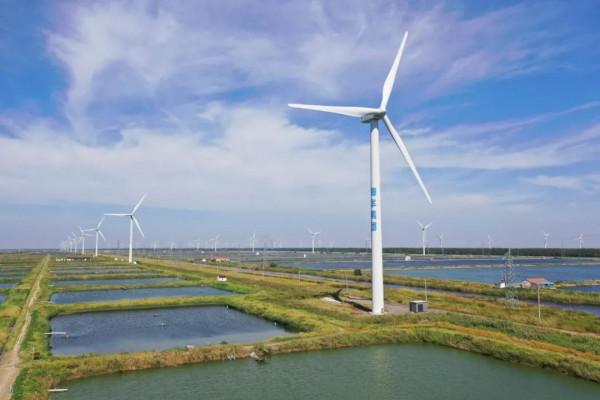 關於電力和煤炭供應，國務院出手了