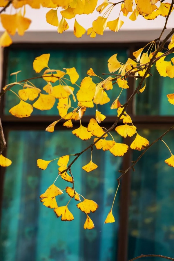 10個藏在深山不為人知的古村落，竟是絕美的“世外桃源”