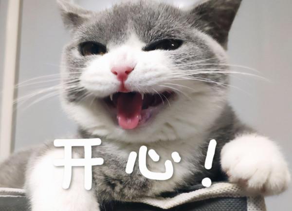 離譜！逆水寒氪金幾千的號賣價99萬？買家：全服這樣的號不到30個