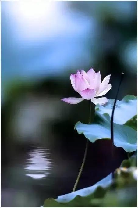 當今社會怪現象，看完之後你覺得怪不怪？