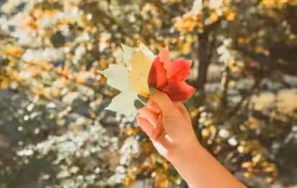 “身體健康是本錢”道德經裡教你如何調養身體 “身體健康是本錢”道德經裡教你如何調養身體