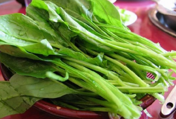 女性常吃白菜臉上容易長斑？醫生提醒：想要祛斑，吃對蔬菜很關鍵