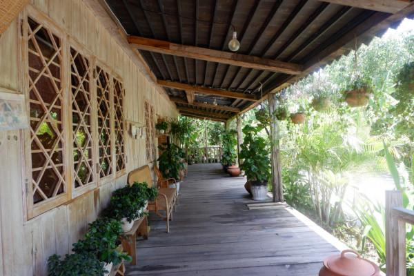 嚮往的生活蘑菇屋收費參觀，20元一人還送果汁，小院實在太美了