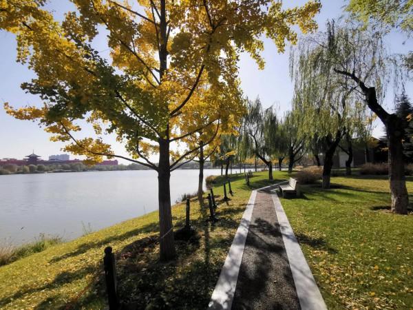 世博園 鍛鍊身體的好地方 地方超大