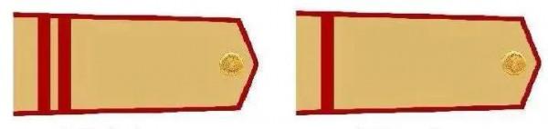 越南人民軍軍銜